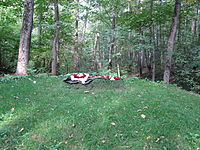 Tolstoy's grave with flowers at Yasnaya Polyana.