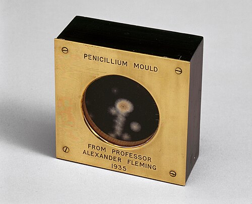 Alexander Fleming