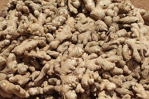 Ginger