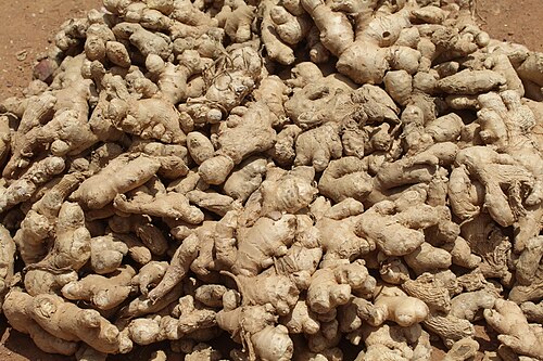 Ginger