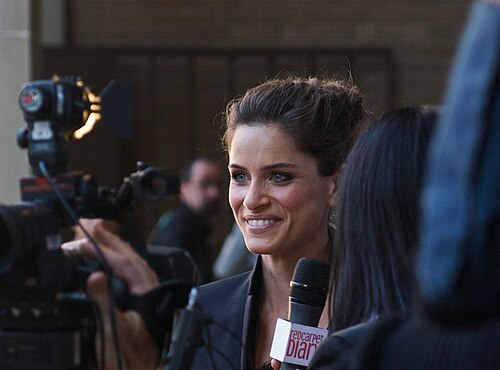 Amanda Peet