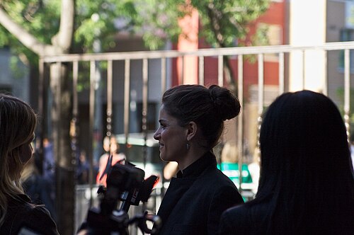 Amanda Peet