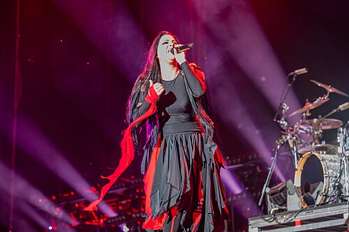 Amy Lee