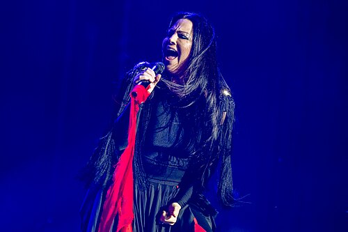 Amy Lee