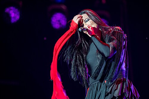 Amy Lee