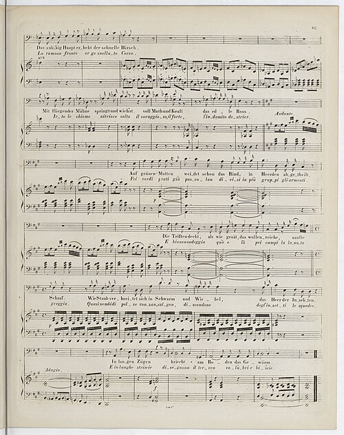 Joseph Haydn