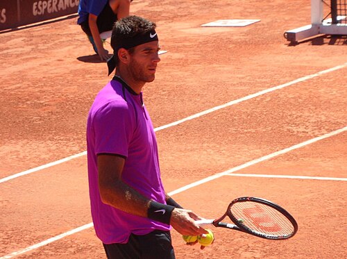 Juan Martín del Potro