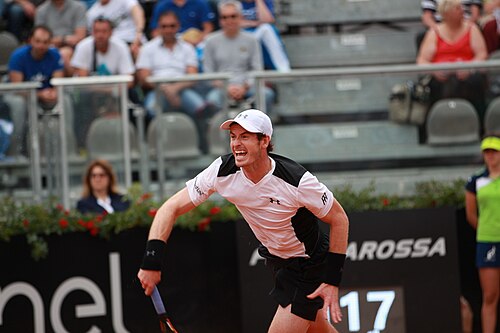 Andy Murray