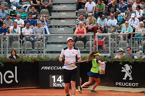Andy Murray