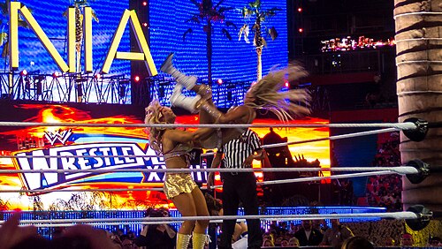 Kelly Kelly