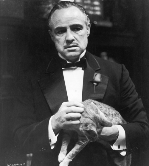 Marlon Brando