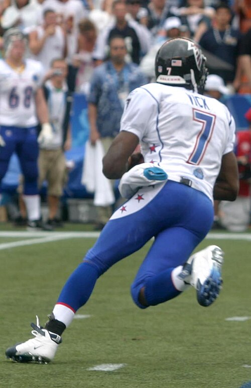 Michael Vick