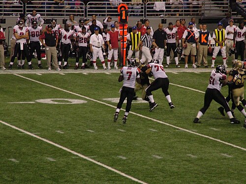 Michael Vick