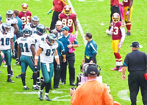 Michael Vick