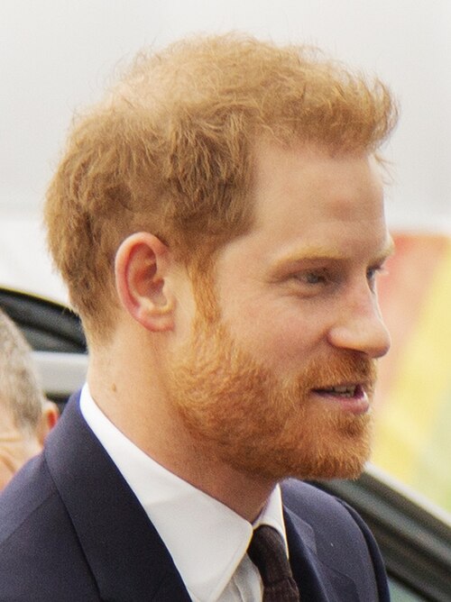 Prince Harry, Duke of Sussex