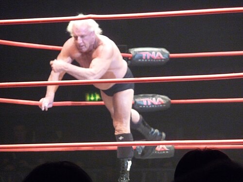 Ric Flair