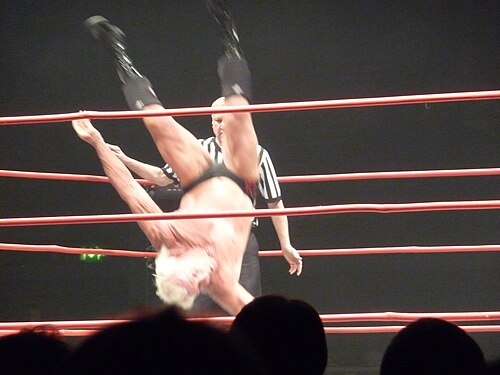 Ric Flair