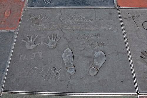 Robin Williams