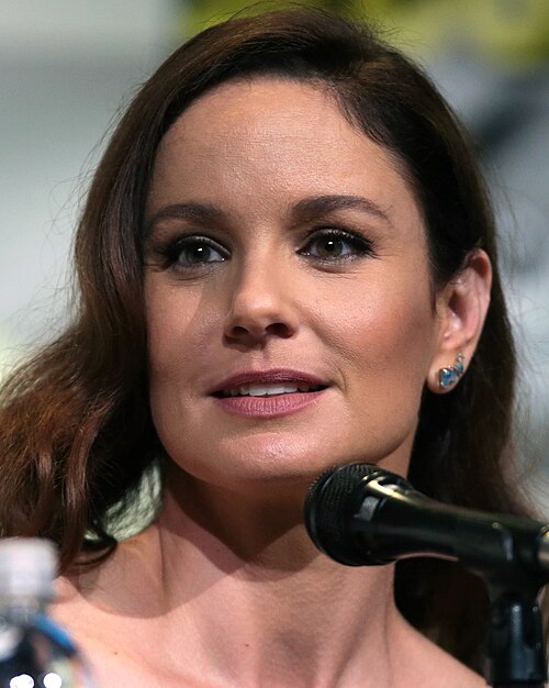 Sarah Wayne Callies
