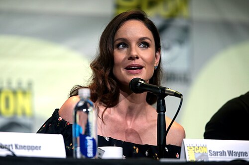 Sarah Wayne Callies