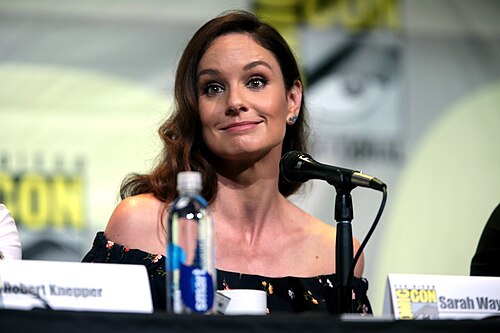 Sarah Wayne Callies