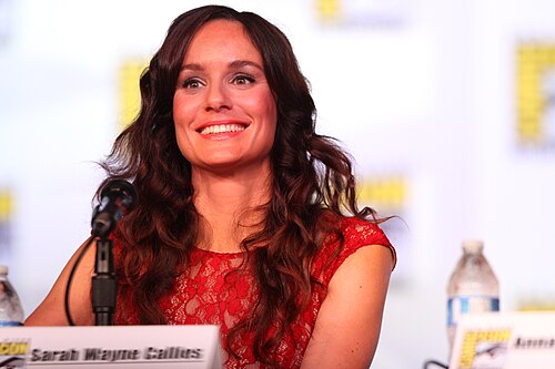 Sarah Wayne Callies
