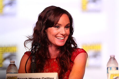 Sarah Wayne Callies