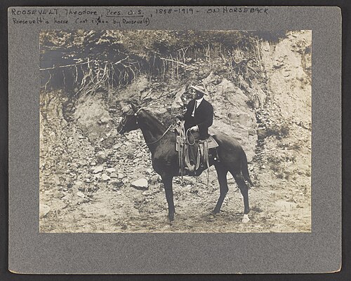 Theodore Roosevelt
