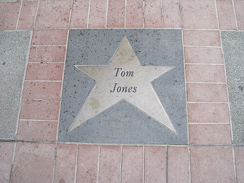 Tom Jones (singer)