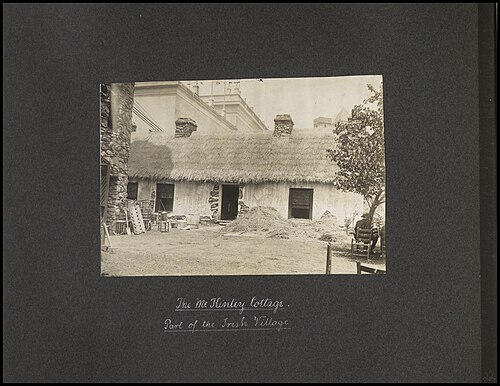 William McKinley