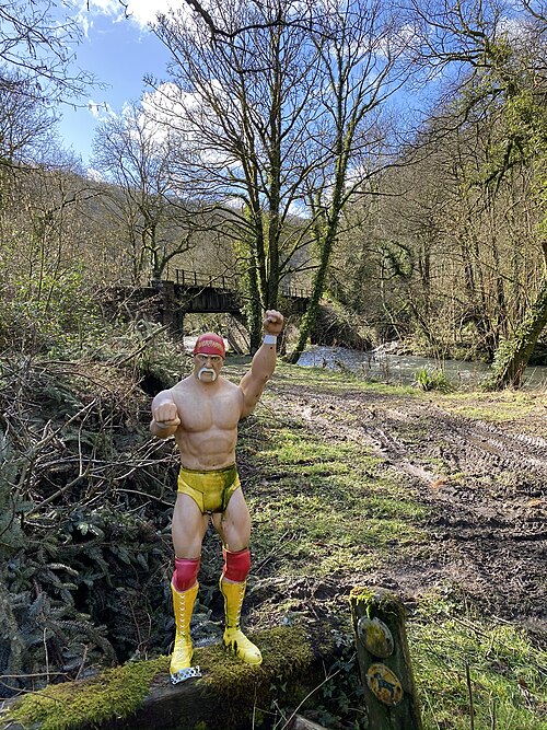 Hulk Hogan