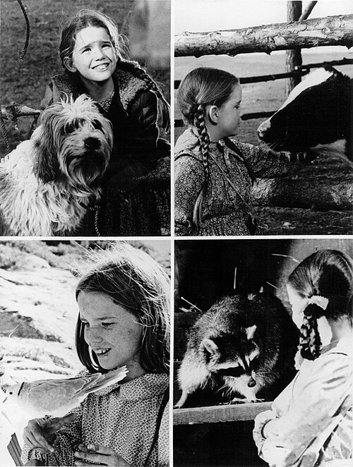 Melissa Gilbert