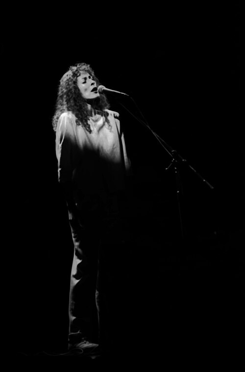 Yehudit Ravitz