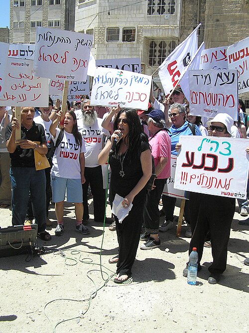 Sarit Vino-Elad