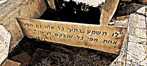 Naomi Shemer