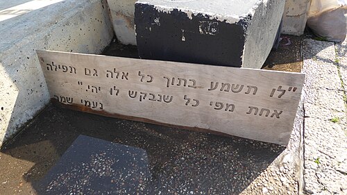 Naomi Shemer
