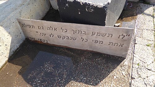 Naomi Shemer