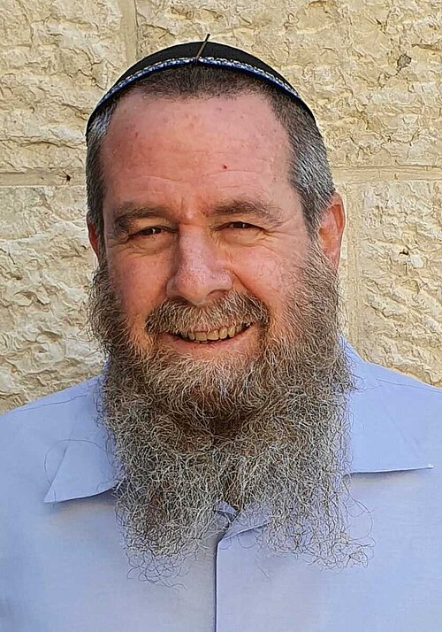 אבי מעוז