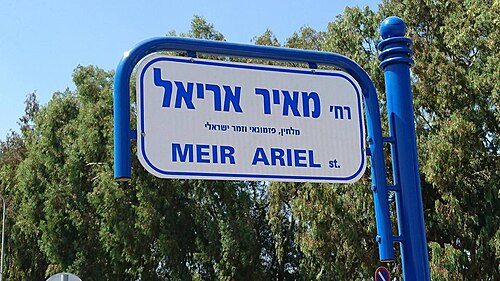 Meir Ariel