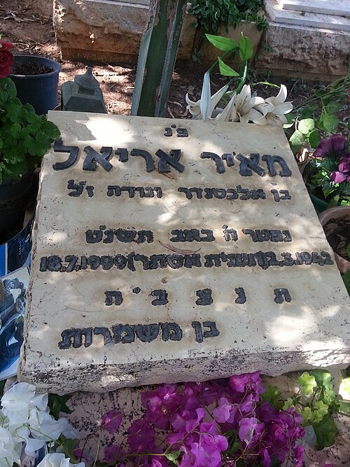 Meir Ariel