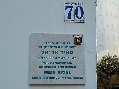 Meir Ariel