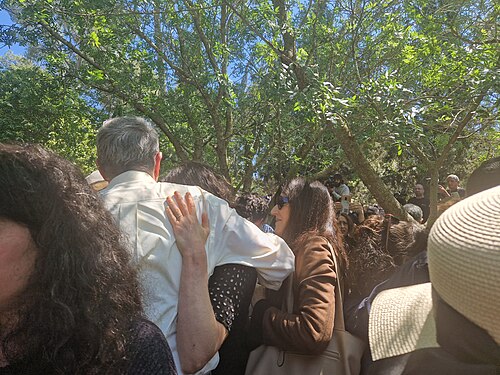 Zeruya Shalev