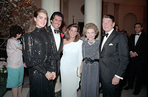 Brooke Shields