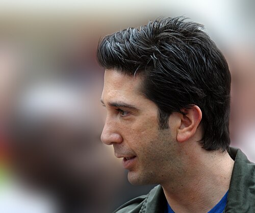 David Schwimmer