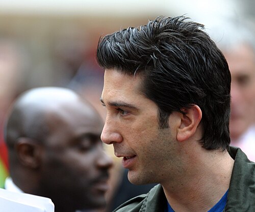 David Schwimmer